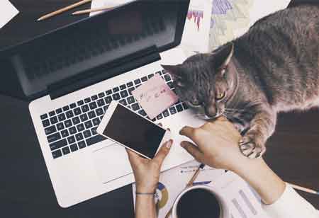 The Emergence of Remote Work as the New Normal